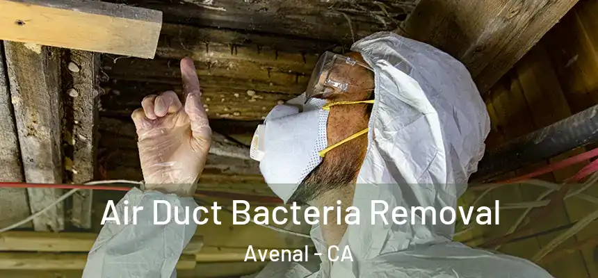  Air Duct Bacteria Removal Avenal - CA