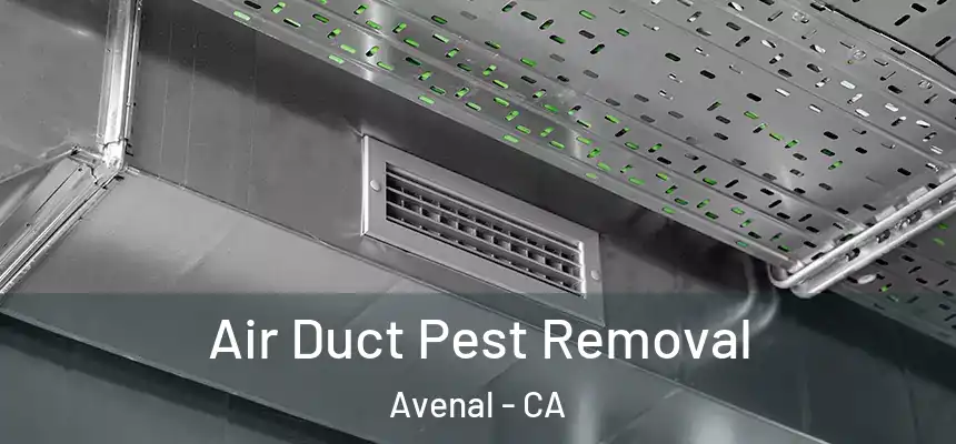  Air Duct Pest Removal Avenal - CA