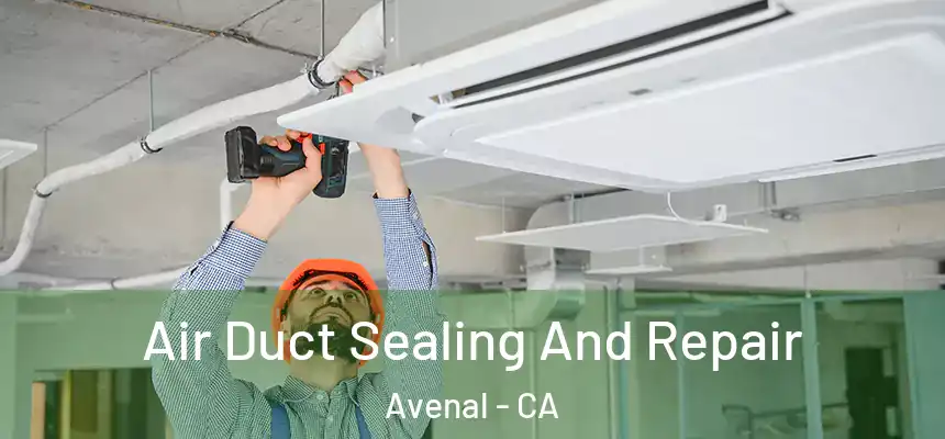  Air Duct Sealing And Repair Avenal - CA