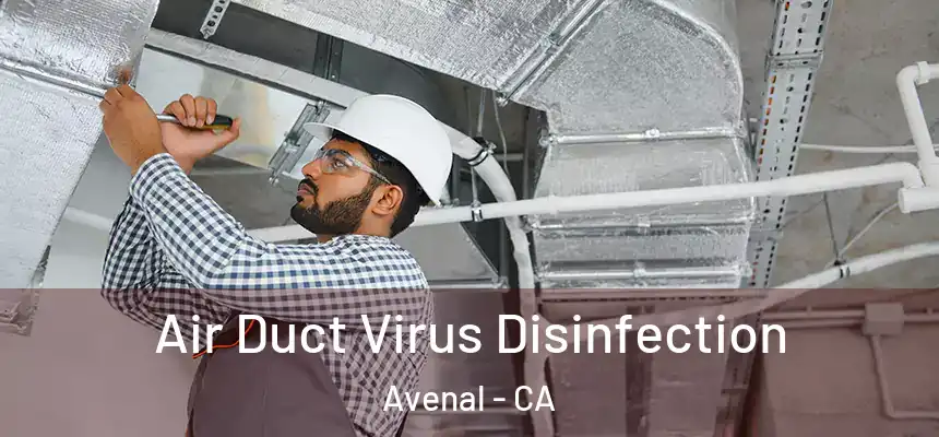  Air Duct Virus Disinfection Avenal - CA