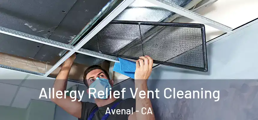  Allergy Relief Vent Cleaning Avenal - CA