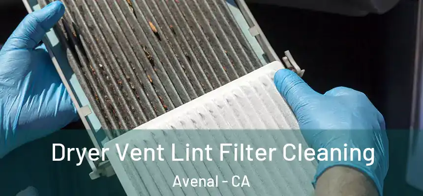  Dryer Vent Lint Filter Cleaning Avenal - CA