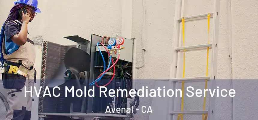  HVAC Mold Remediation Service Avenal - CA