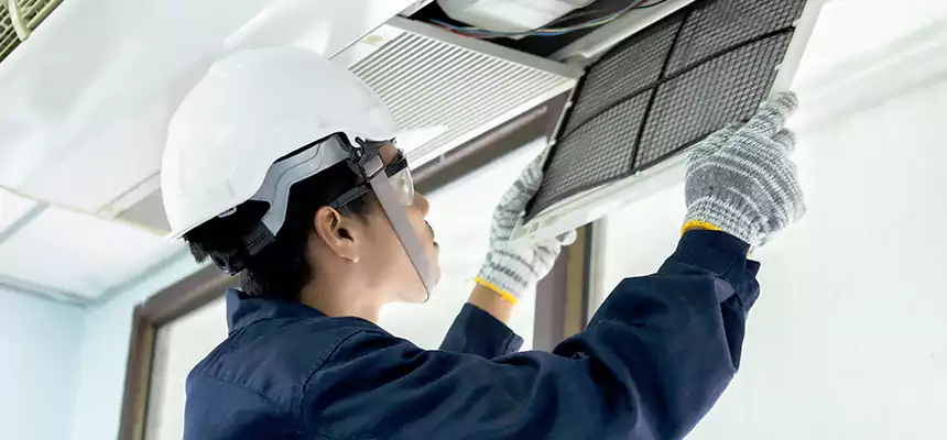 Our Mold & Mildew Removal from Air Ducts Services in Avenal, CA