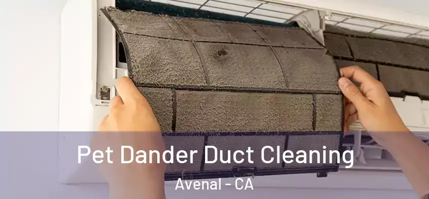  Pet Dander Duct Cleaning Avenal - CA