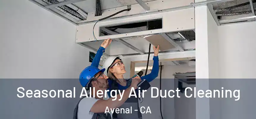 Seasonal Allergy Air Duct Cleaning Avenal - CA