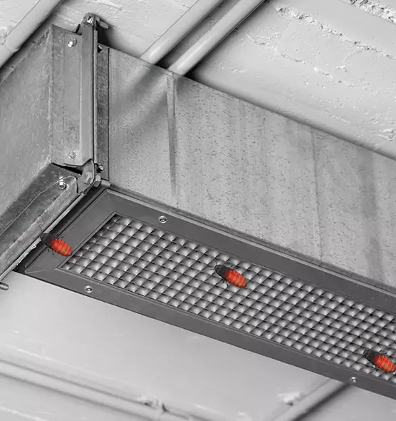 About Air Duct Cockroach Removal in Avenal, CA