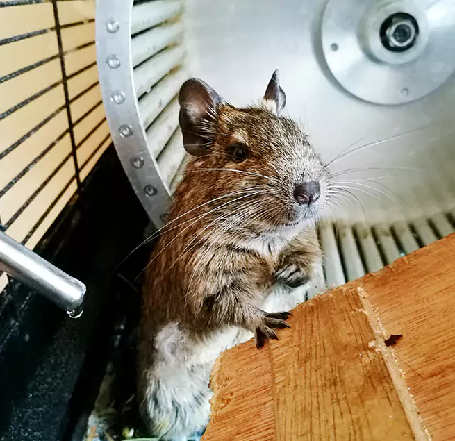 Why Homeowners & Businesses Trust Us Avenal, CA