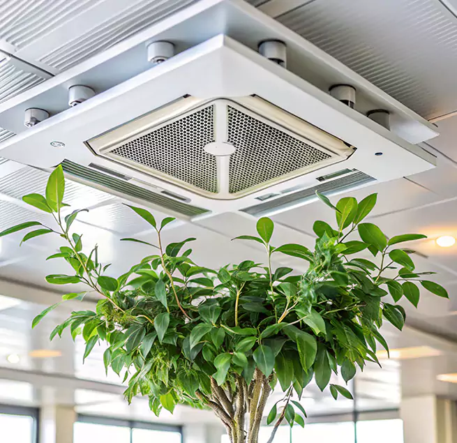 Why Homeowners & Businesses Trust Us in Avenal, CA?