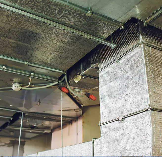 Why Homeowners & Businesses Trust Us Avenal, CA?